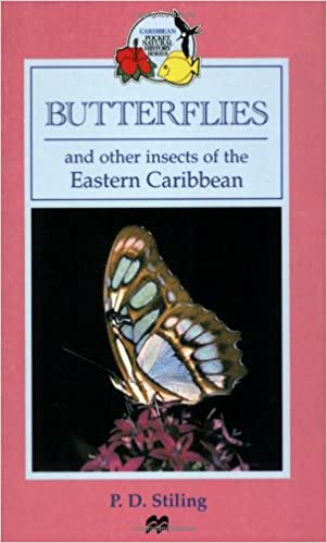 Butterflies and Other Insects of the Eastern Caribbean