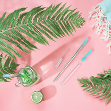 Load image into Gallery viewer, Expandable, Reusable Straws
